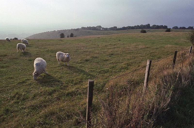 WT 2100 265-12 UK 1991.jpg